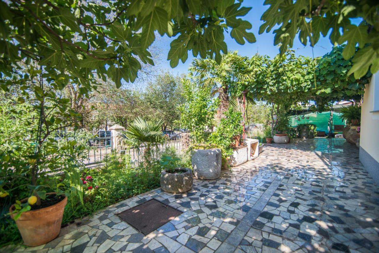 Apartmani Marina ポレッチ エクステリア 写真