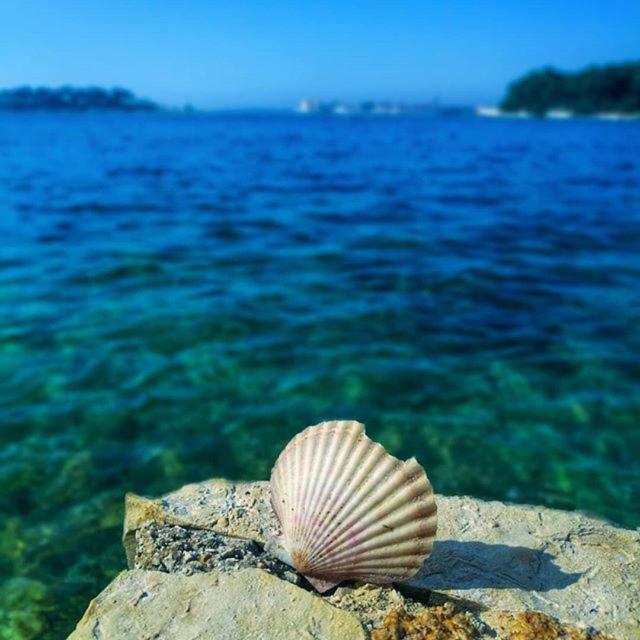 Apartmani Marina ポレッチ エクステリア 写真
